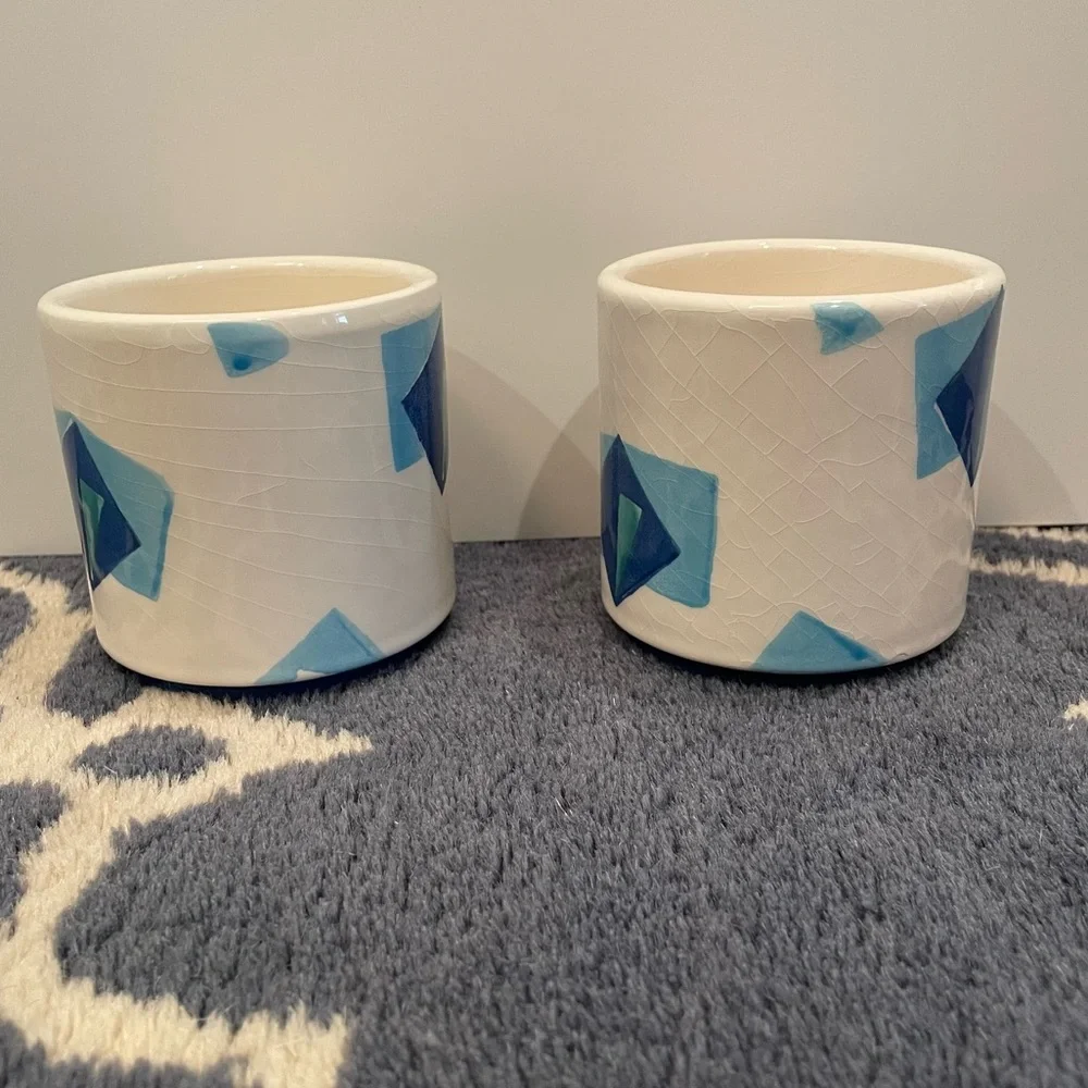 West Elm x Roar and Rabbit Cachepots